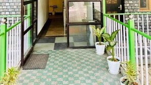 A covered entrance with a checkered floor, potted plants, and a metal gate.