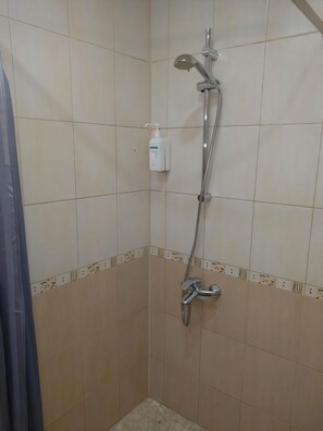 Regadera, secadora de cabello, toallas, jabón 