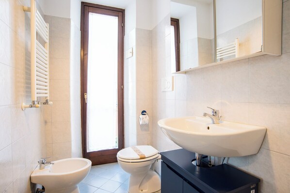 Shower, hair dryer, bidet, towels