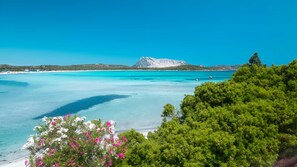 Room, 1 Bedroom, Smoking, Terrace | View from property