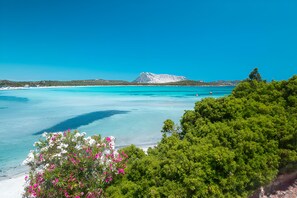 Utsikt fra overnattingsstedet