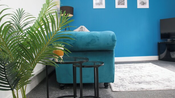 A teal sofa, a small round table, a potted plant, and a TV against a blue wall.