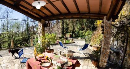 Charming Lucca Retreat