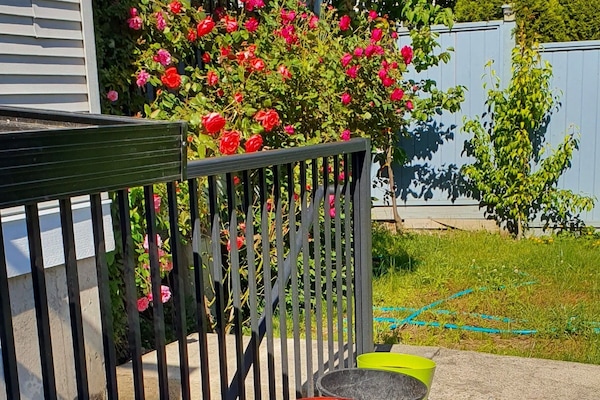 Àrea exterior de l'allotjament