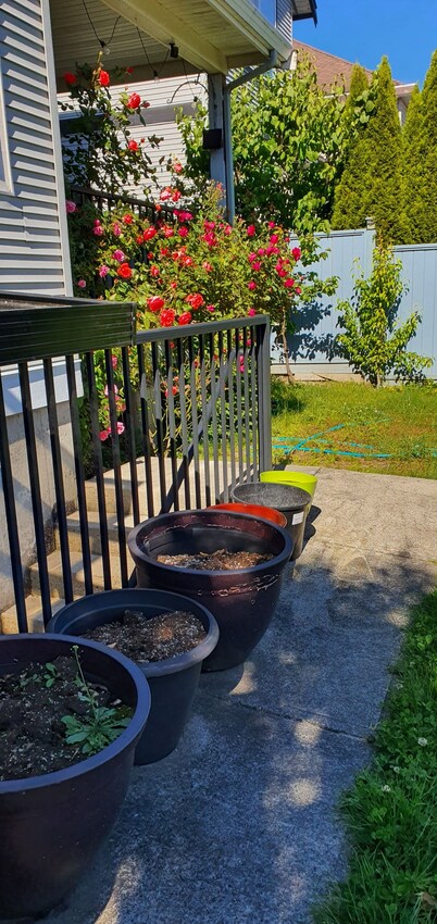 Private 2 bedroom basement suite in Langley