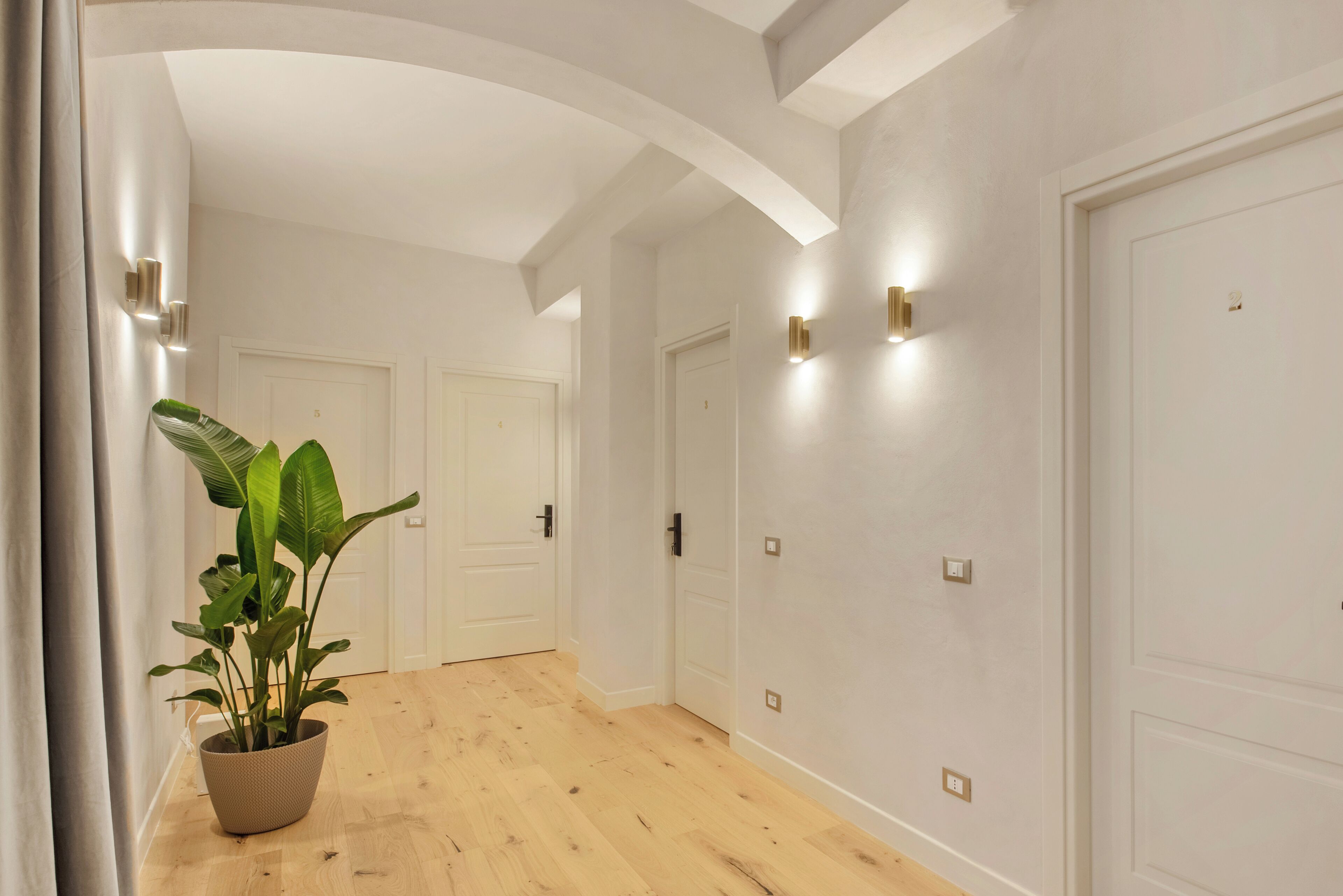 A hallway with wooden flooring, white walls, and a potted plant.
