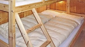 Un lit superposé avec une échelle, des murs en bois et un matelas.