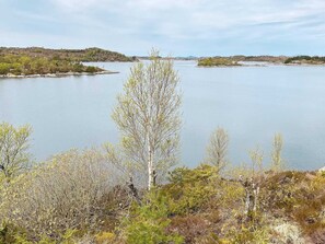 A lake with a tree in the foreground and a hilly landscape in the background. - 6 Person Holiday Home in Anneland (Gulen)