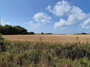 Elite House, 3 Bedrooms | Miscellaneous