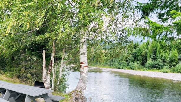 A picnic table by a calm lake surrounded by trees. - 8 Person Holiday Home in Terrak (Bindal)