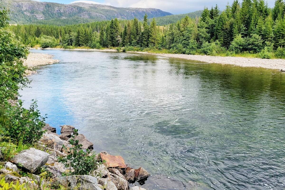 A river with clear water, surrounded by dense green forest and mountains in the background.
