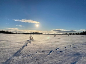 Comfort House, Multiple Bedrooms | View from property