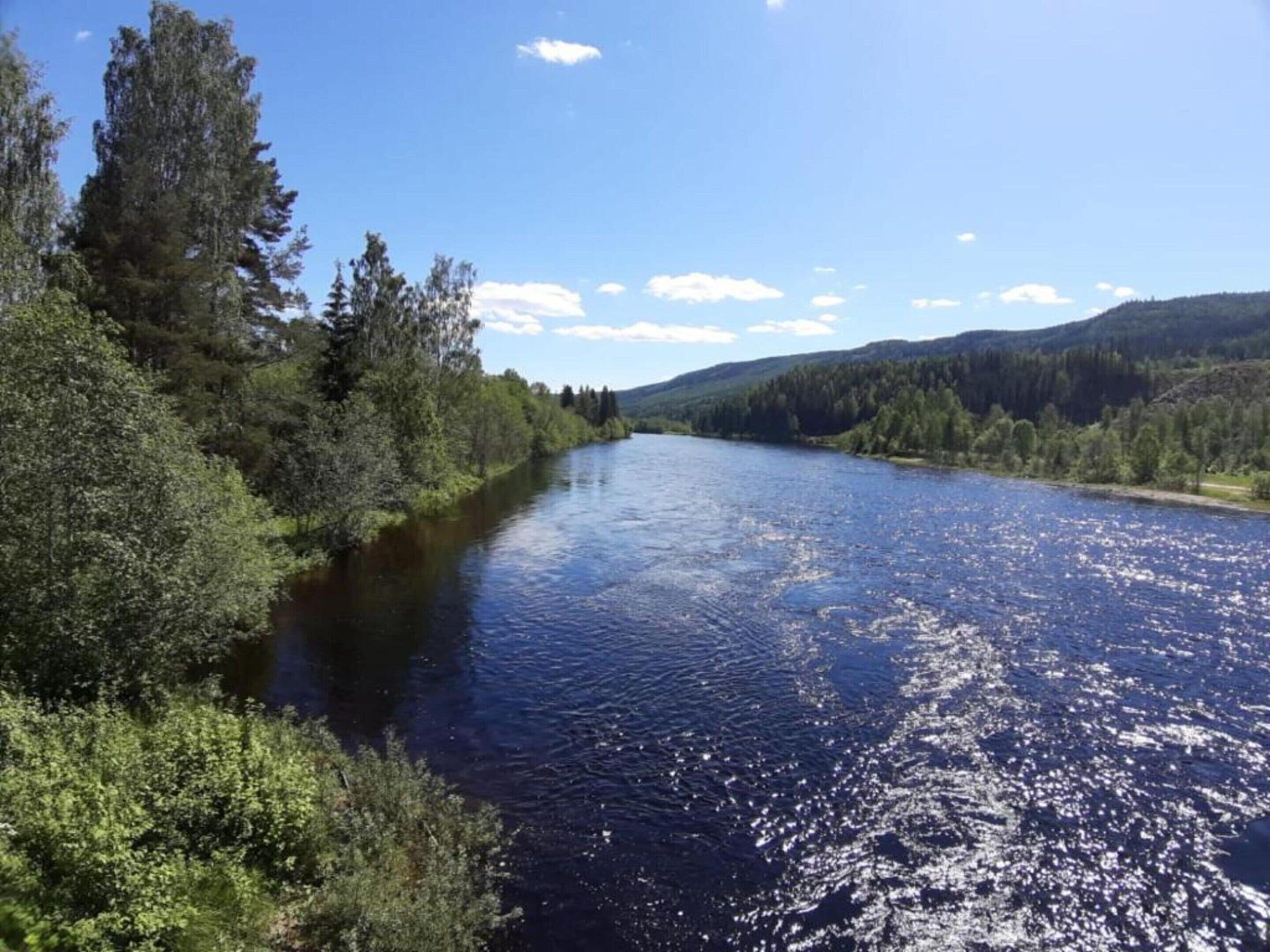 A river surrounded by dense forest and hills.