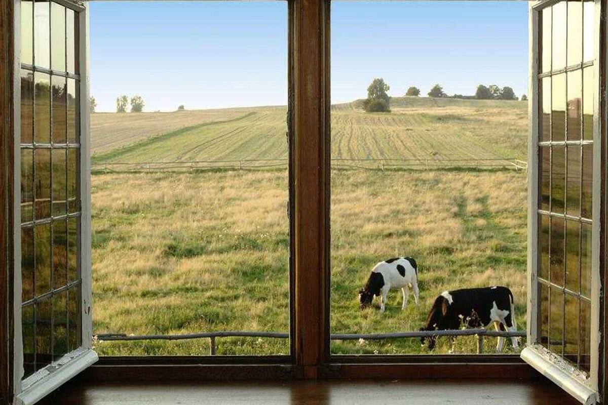 Classic Cottage, 1 Bedroom | View from property