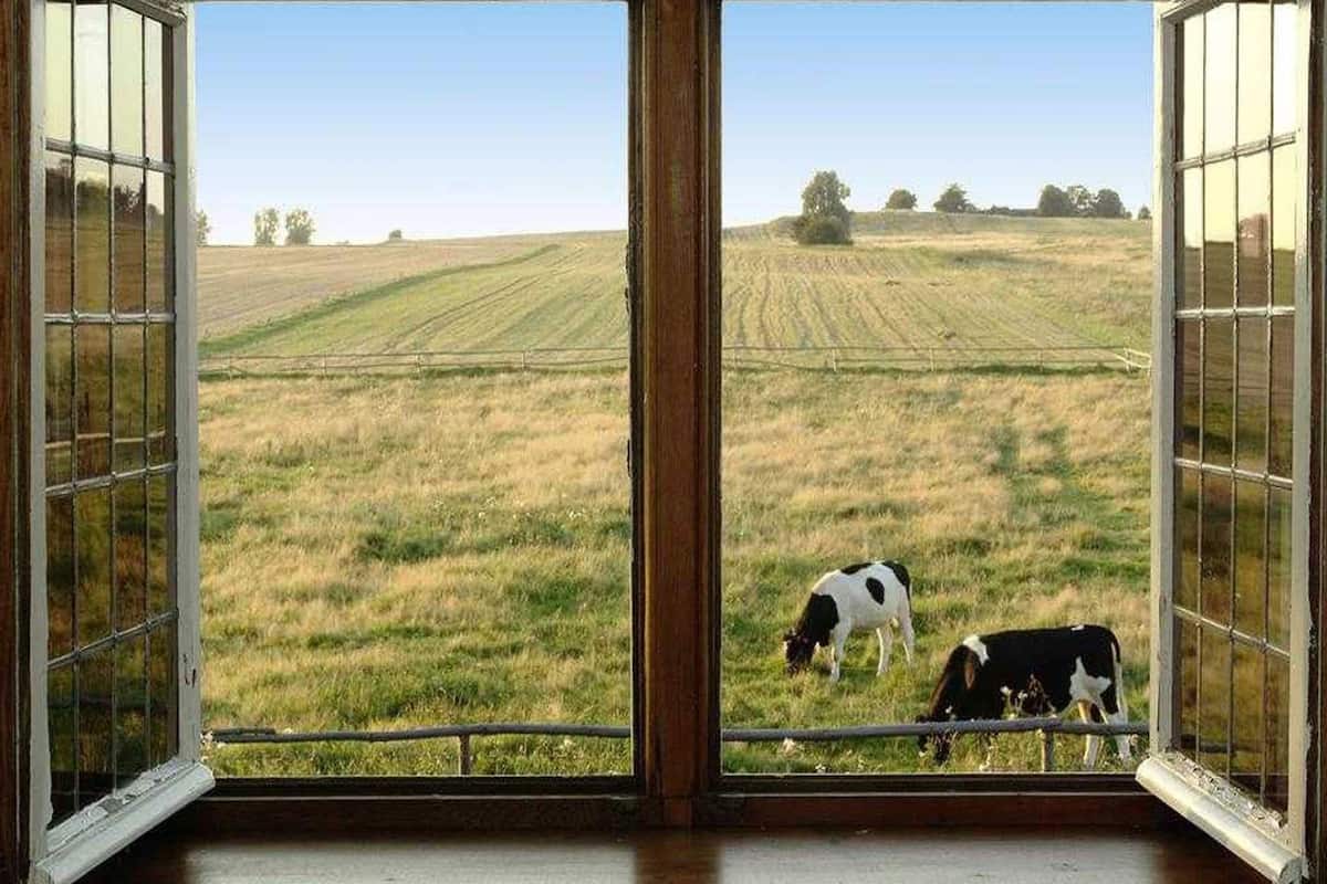 Vista desde la propiedad