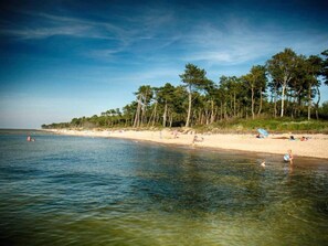 A beach with clear water, a sandy shore, and a line of trees in the background. - Stylish House in the Countryside 5 km From the sea (Darlowo)