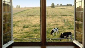 A room with a large window overlooking a grassy field with cows. - Stylish House in the Countryside 5 km From the sea (Darlowo)