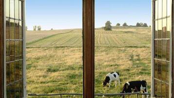 Classic Cottage, 1 Bedroom | View from property