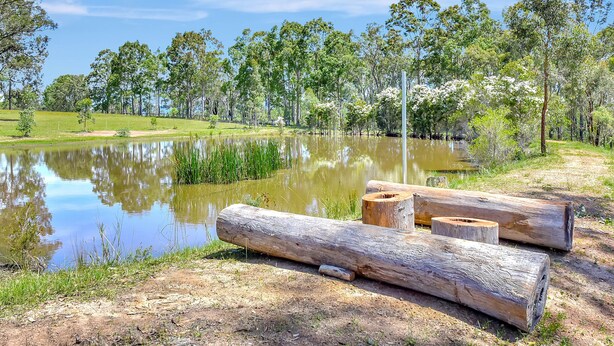 A natural landscape with a pond, trees, and logs. - Two for Joy Estate. Sleeping 12, 2 Cottages (North Rothbury)