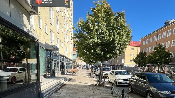 Un sendero adoquinado para peatones con un letrero de restaurante, coches estacionados y un árbol.