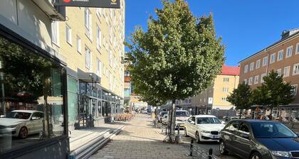 City Hostel 46