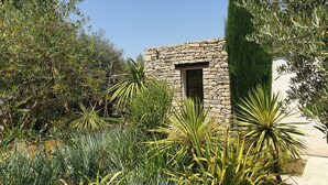 A stone building with a window, surrounded by lush greenery and various plants. - HOUSE "L'OLIVETTE" jacuzzi, heated pool, billiards, table soccer, 7KM from Nîmes  (LANGLADE)
