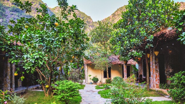Un sendero de jardín que lleva a un edificio con tejado de paja, rodeado de exuberante vegetación y árboles frutales.