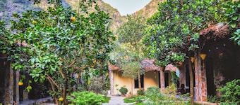 Cozy Beer Garden Homestay