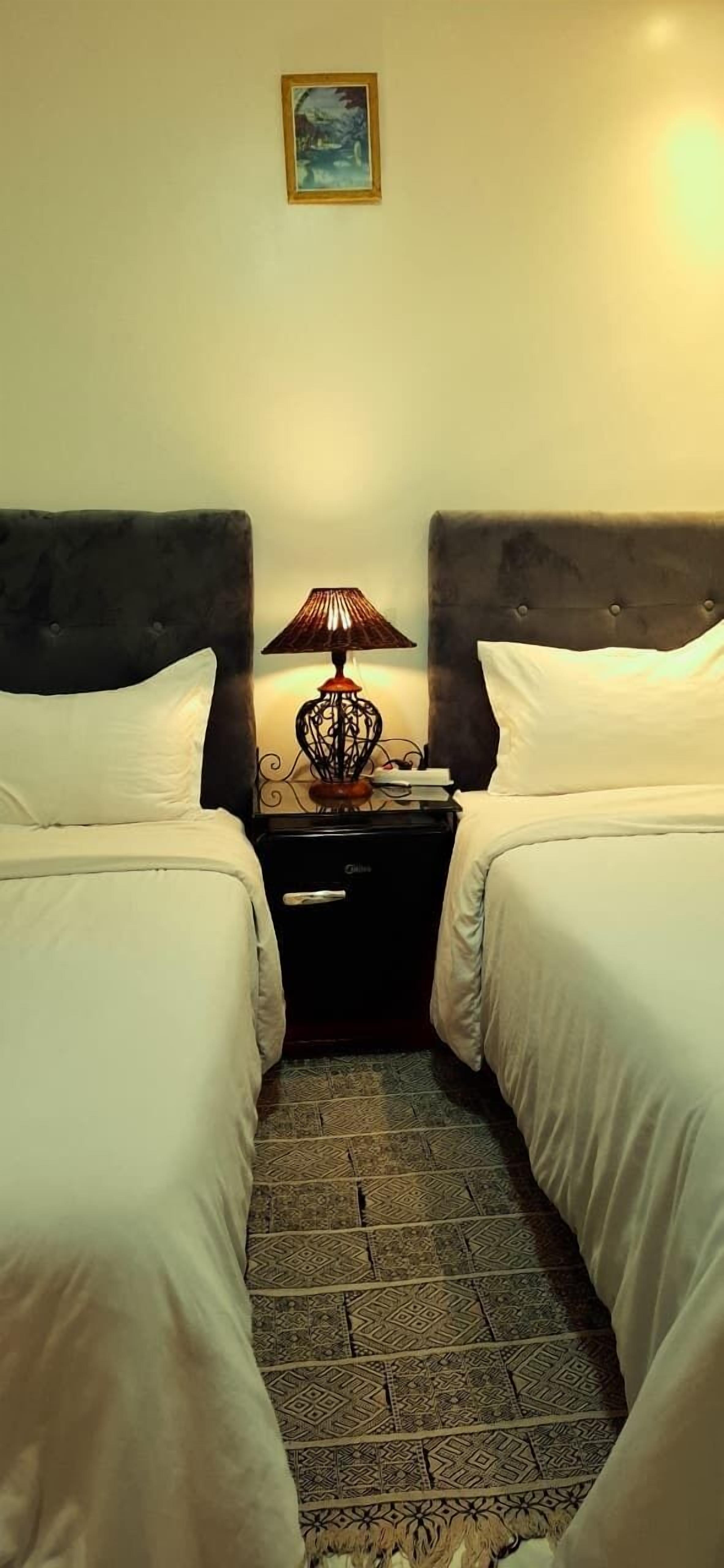 A room with two beds, a patterned rug, a nightstand with a lamp, and a framed picture on the wall.