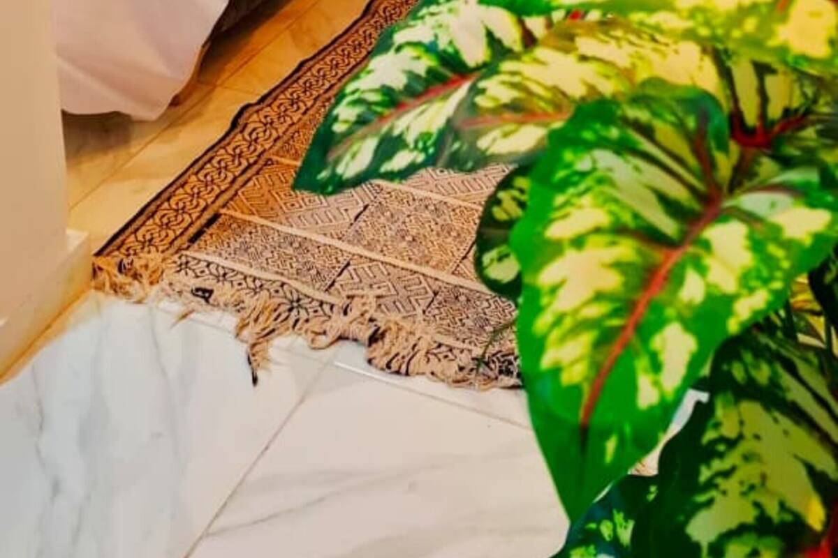 基本開放式客房, 湖景 | 隔音、免費 Wi-Fi