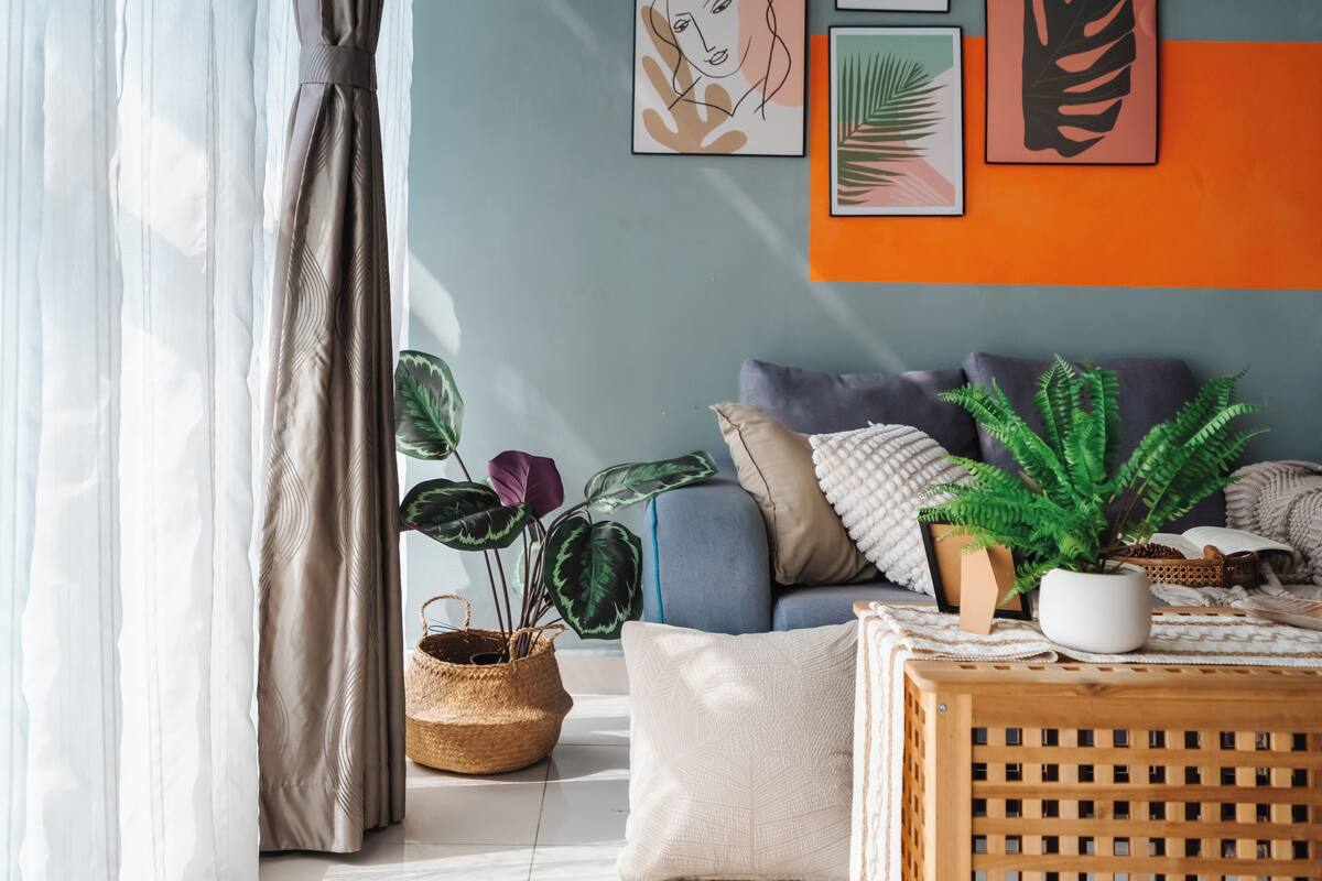 Un salon comprenant un canapé, des coussins, une table basse et diverses plantes.