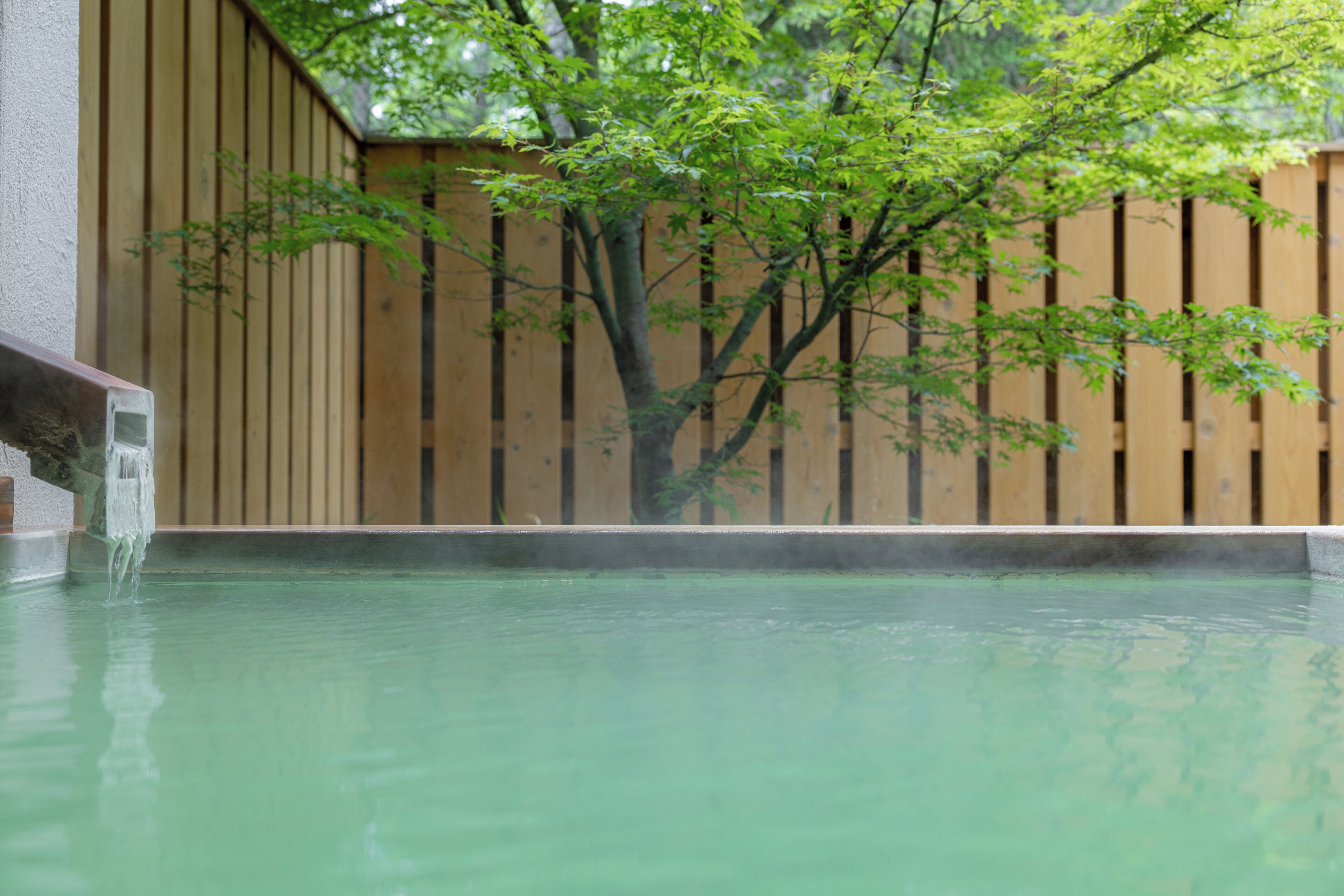 時尚客房, 非吸煙房, 山景 (JP western style,w/open air bath) | 羽絨被、房內夾萬、遮光窗簾/窗簾、免費 Wi-Fi