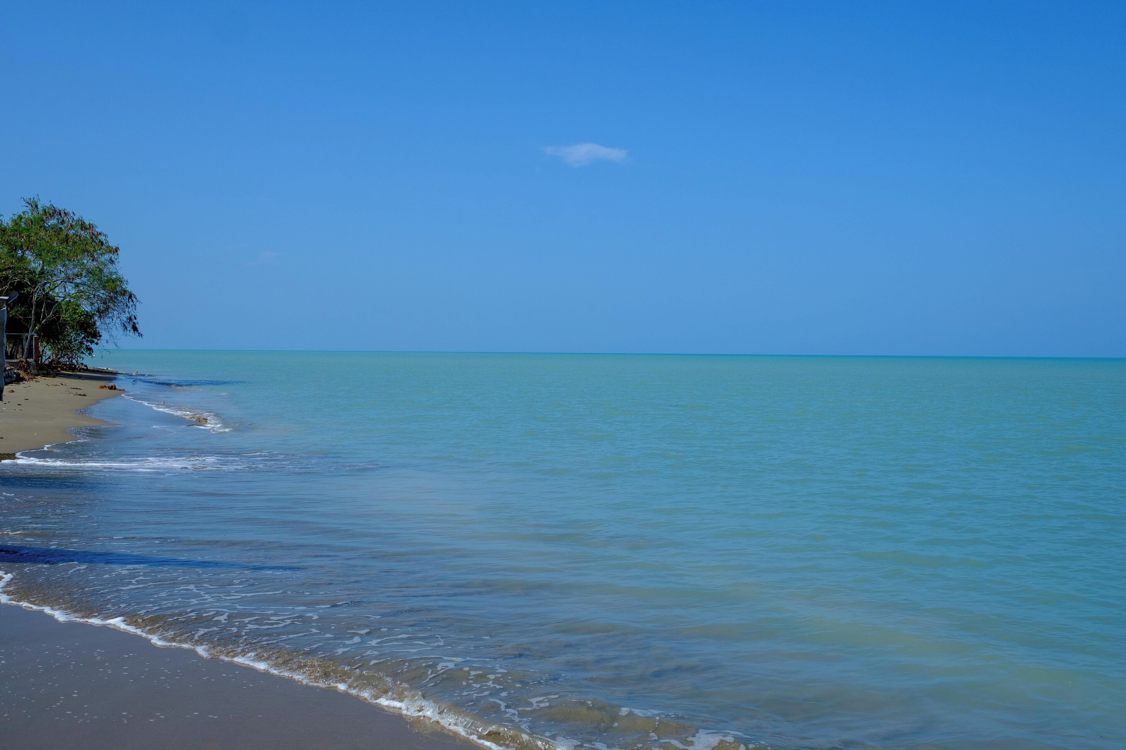A beach with clear blue water and a tree-lined shore.