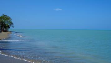 A beach with clear blue water and a tree-lined shore.