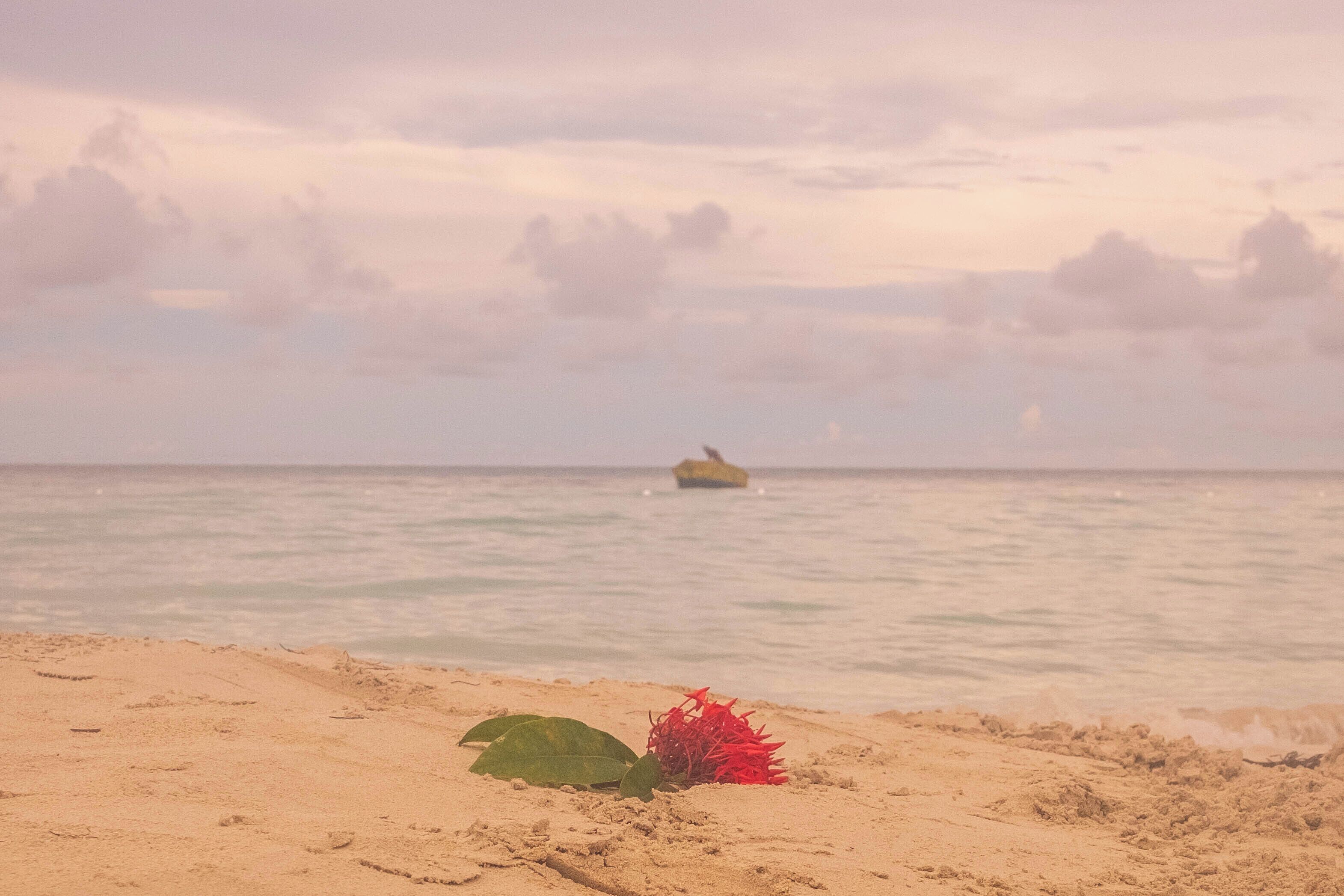 Une plage avec l’épave d’un navire visible au loin, un premier plan sablonneux et un ciel nuageux.