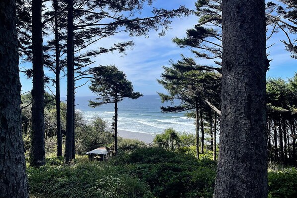 On the beach - Beachfront Cabin! Private! Ocean Views! Firepit! (Florence)