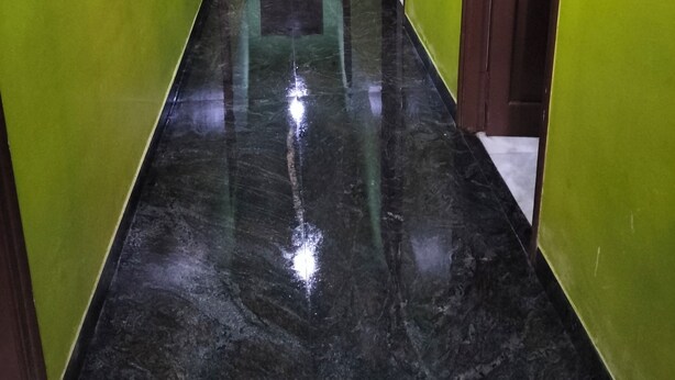 Un pasillo con paredes verdes, piso negro brillante y puertas marrones.