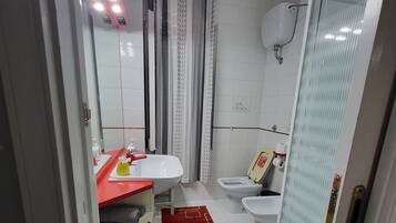 Shower, hair dryer, bidet, towels