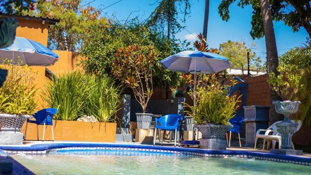 A swimming pool with blue and white umbrellas, potted plants, and outdoor furniture. - La Belva Court with Swimming Pool (Lusaka)