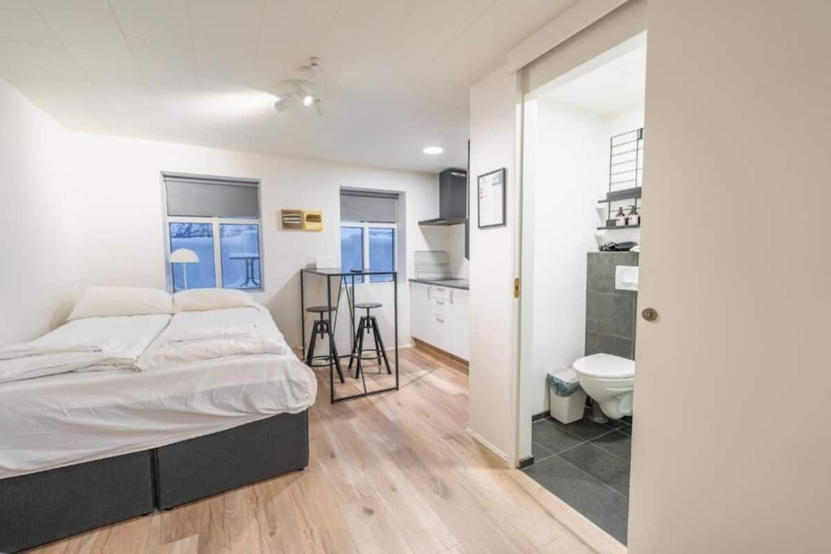 Une chambre avec un lit, un bureau et une salle de bain comprenant des toilettes et un lavabo.
