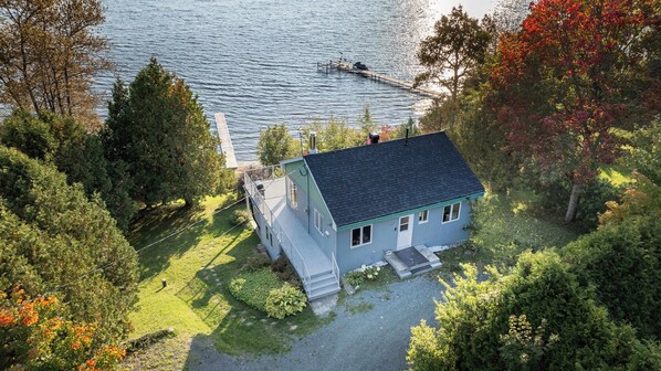 Una casa con un muelle que se adentra en un lago, rodeada de árboles y vegetación.