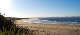 Buwarla House – pet friendly beach house