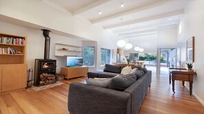 Smart TV, chimenea, libros, oficina