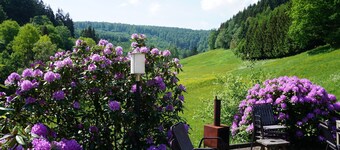 Exclusive Group House in Winterberg in the Forest