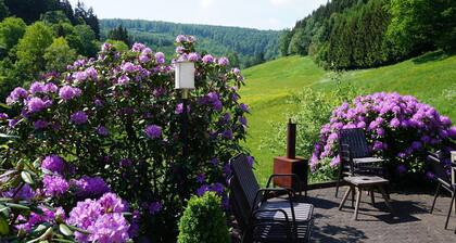 Exclusive Group House in Winterberg in the Forest