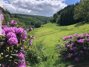 Classic House, Multiple Bedrooms | View from property - Exclusive Group House in Winterberg in the Forest (Winterberg)