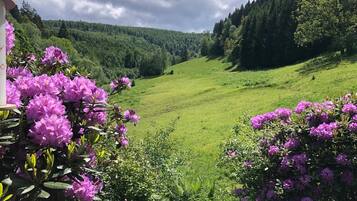 Rumah Comfort, beberapa kamar | Pemandangan dari properti