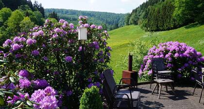 Exclusive Group House in Winterberg in the Forest