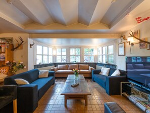 Fireplace, DVD player - Exclusive Group House in Winterberg in the Forest (Winterberg)