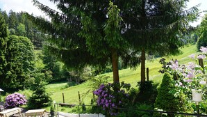 A stone staircase leading to a balcony with a view of a lush garden and a large tree. - Exclusive Group House in Winterberg in the Forest (Winterberg)